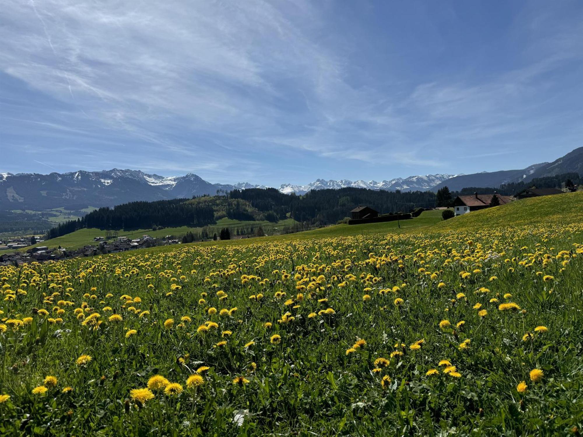 Ferienwohnungen Probst Ofterschwang Exterior foto